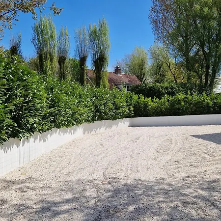Luxury Family With A Large Private Garden And Swimming Pool The Hague
